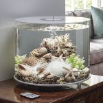 Oase biOrb dekorace korály s mušlemi