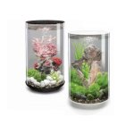 Oase biOrb dekorace kameny červené L