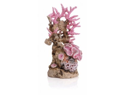 Oase biOrb dekorace korály růžové