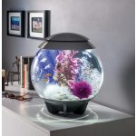 Oase biOrb dekorace korály růžové