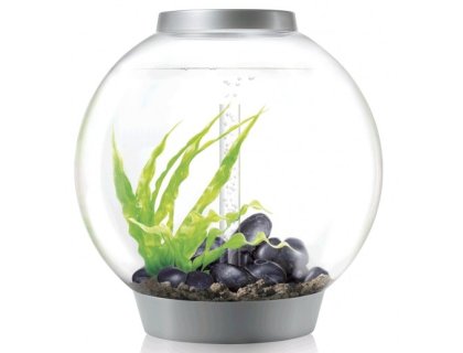 Oase biOrb CLASSIC 105 MCR (akvárium stříbrné)
