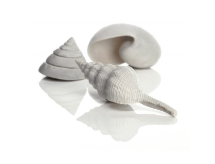 Oase biOrb mořské ulity set 3 bílé