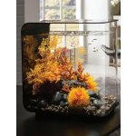 Oase biOrb dekorace lávový kámen s korály