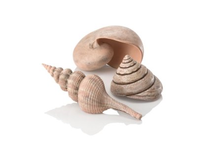 Oase biOrb dekorace sada 3 přírodních mušlí