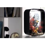 Oase biOrb dekorace korály černé L