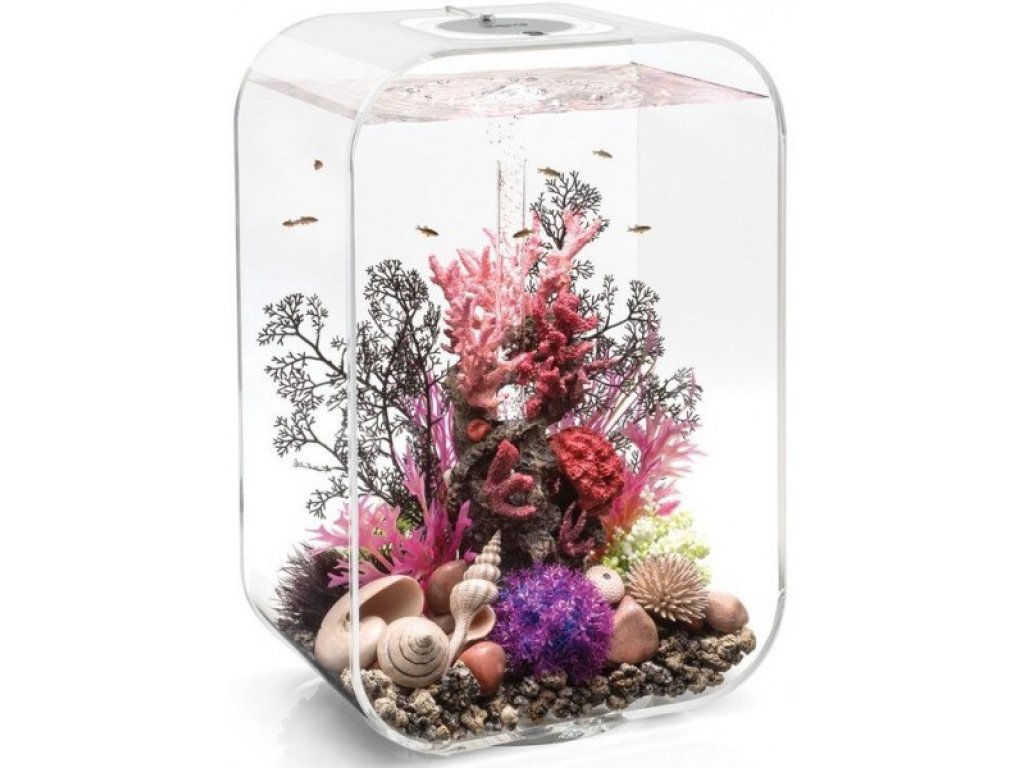 Oase biOrb LIFE 60 MCR (akvárium transparentní)