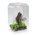 Oase biOrb LIFE 60 MCR (akvárium transparentní)