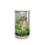 Oase biOrb TUBE 30 MCR (akvárium bílé)