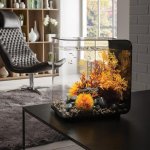 Oase biOrb dekorace oblázky černé