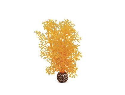 Oase biOrb rostlina oranžová S