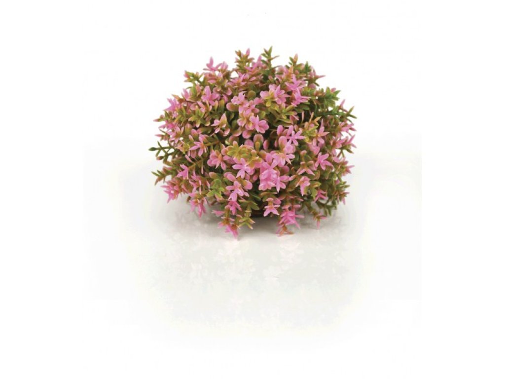 Oase biOrb podvodní koule růžová s květy