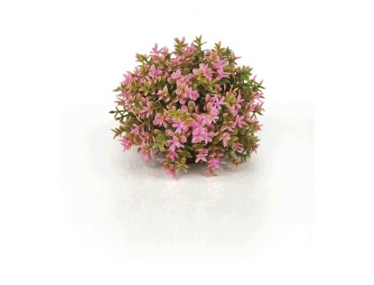 Oase biOrb podvodní koule růžová s květy