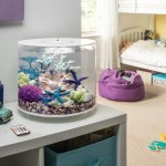 Oase biOrb podvodní koule růžová s květy