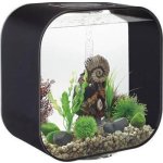 Oase biOrb dekorace trilobit