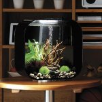 Oase biOrb LIFE 30 MCR (akvárium černé)