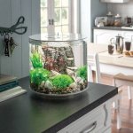 Oase biOrb dekorace oblázky bílé