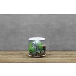 Oase biOrb TUBE 15 MCR (akvárium bílé)