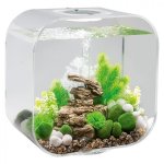 Oase biOrb LIFE 30 MCR (akvárium transparentní)