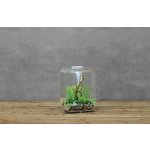 Oase biOrb LIFE 30 MCR (akvárium transparentní)