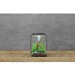 Oase biOrb LIFE 60 MCR (akvárium černé)