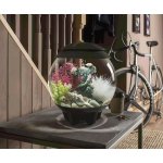 Oase biOrb vodní ozdobná tráva bílá