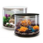 Oase biOrb TUBE 35 MCR (akvárium černé)