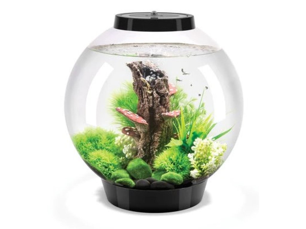 Oase biOrb CLASSIC 30 MCR (akvárium černé)
