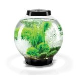 Oase biOrb CLASSIC 30 MCR (akvárium černé)