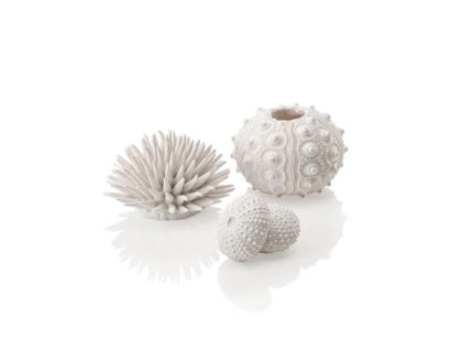 Oase biOrb ježovky set bílý
