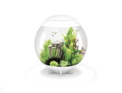 Oase biOrb HALO 60 LED (akvárium bílé)