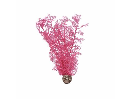 Oase biOrb rostlina růžová M