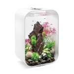 Oase biOrb rostlina růžová M