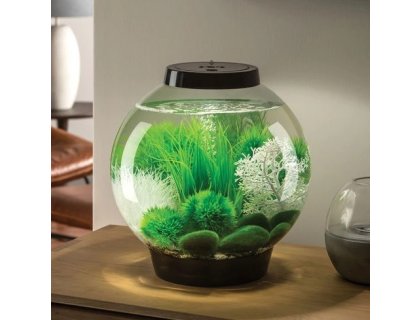 Oase biOrb CLASSIC 30 LED (akvárium černé)