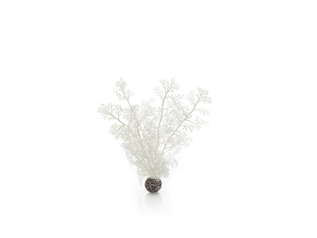 Oase biOrb rostlina bílá M