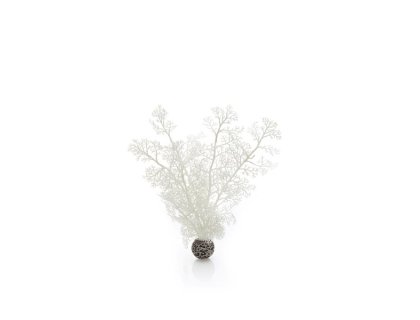 Oase biOrb rostlina bílá M