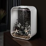 Oase biOrb rostlina černá S