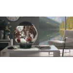 Oase biOrb rostlina černá S