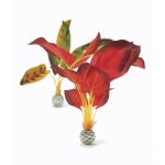 Oase biOrb set rostlin červená a zelená M