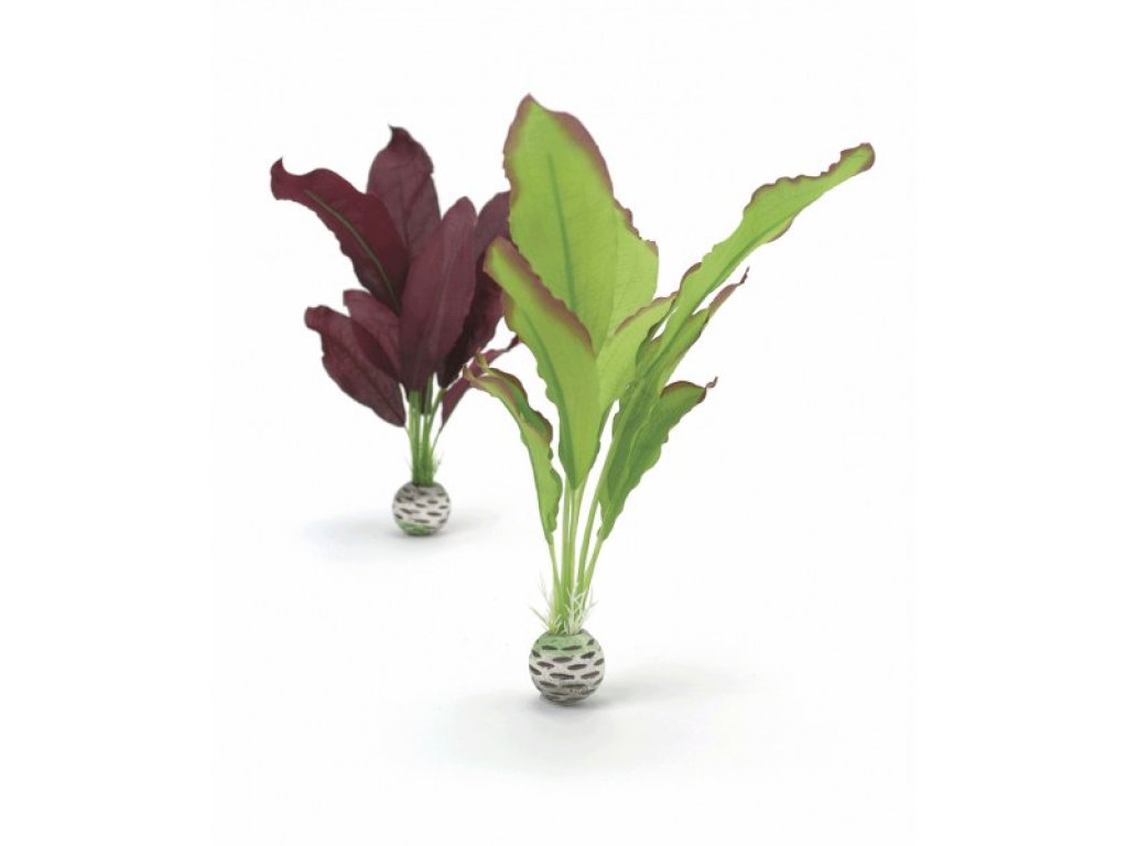 Oase biOrb set rostlin zelená a fialová M