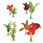 Oase biOrb set rostlin zelená a fialová M