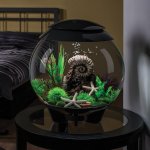 Oase biOrb set rostlin zelená a fialová M