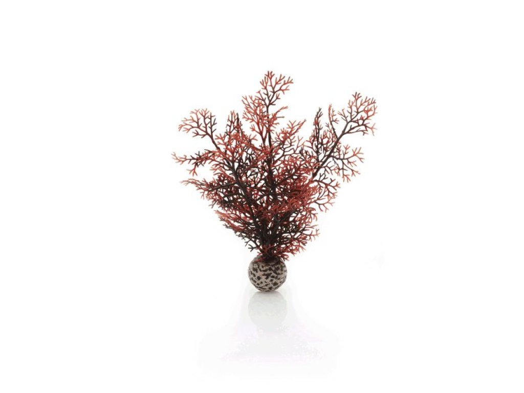 Oase biOrb rostlina karmínová S