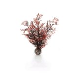 Oase biOrb rostlina karmínová S