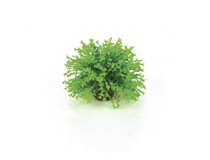 Oase biOrb podvodní koule zelená