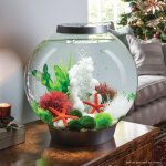 Oase biOrb podvodní koule červená