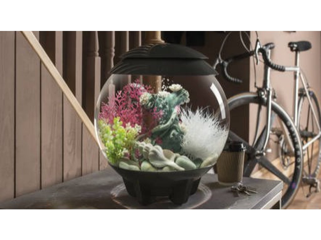 Oase biOrb rostlina karmínová M