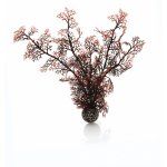 Oase biOrb rostlina karmínová M