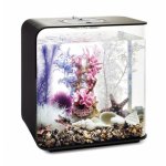 Oase biOrb sada růžový oceán 30 l