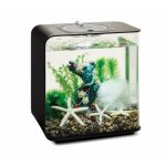 Oase biOrb sada rozkvetlá zahrada 15l