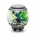 Oase biOrb sada rozkvetlá zahrada 15l